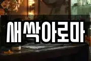 새싹아로마