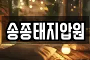 송종태지압원