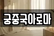 궁중국아로마