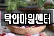 탁안마원센터