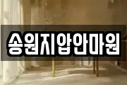 대구 달서구 본동 마사지, 지압등 업체정보