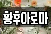 황후아로마