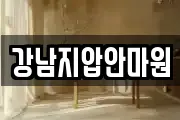 강남지압안마원
