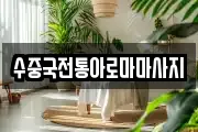 수중국전통아로마마사지