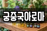 궁중국아로마