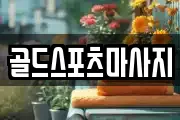 골드스포츠마사지