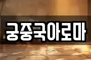 궁중국아로마