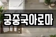 궁중국아로마