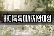 바디톡톡마사지안마원