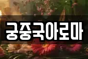궁중국아로마