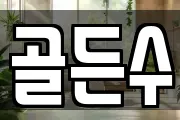 골든수