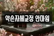 약손자세교정 안마원