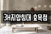 3H지압침대 효목점