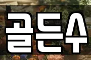 골든수