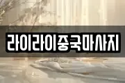 라이라이중국마사지