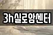 3h실로암센터