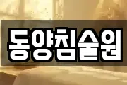 동양침술원