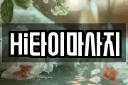 Hi타이마사지