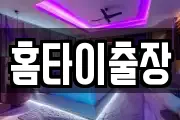 홈타이출장