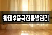 황태후중국전통발관리