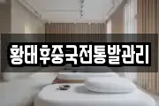 황태후중국전통발관리