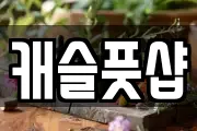 캐슬풋샵