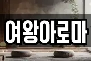여왕아로마