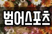 범어스포츠