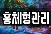 홍체형관리