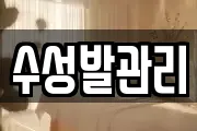 수성발관리