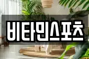 비타민스포츠