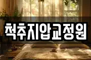 척추지압교정원
