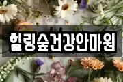 힐링숲건강안마원