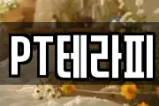 PT테라피