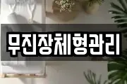 무진장체형관리