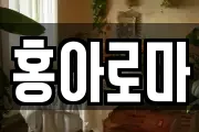 홍아로마