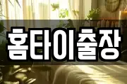 홈타이출장