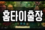홈타이출장