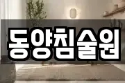 동양침술원