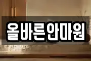 올바른안마원
