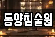 동양침술원