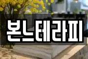 본느테라피