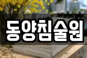 동양침술원