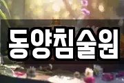 동양침술원