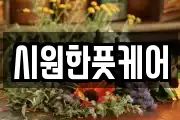 시원한풋케어