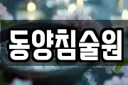 동양침술원