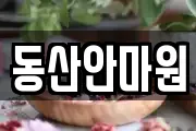 동산안마원