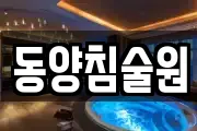 동양침술원
