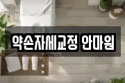 약손자세교정 안마원