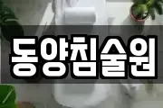 동양침술원